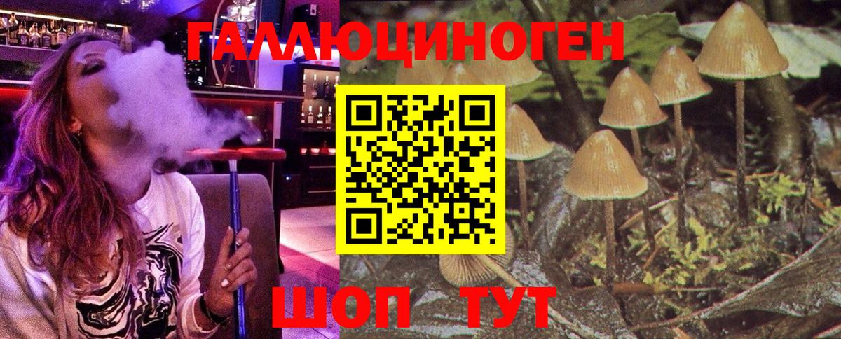 где купить   Псилоцибиновые грибы GOLDEN TEACHER  Вход с VPN  Семилуки 