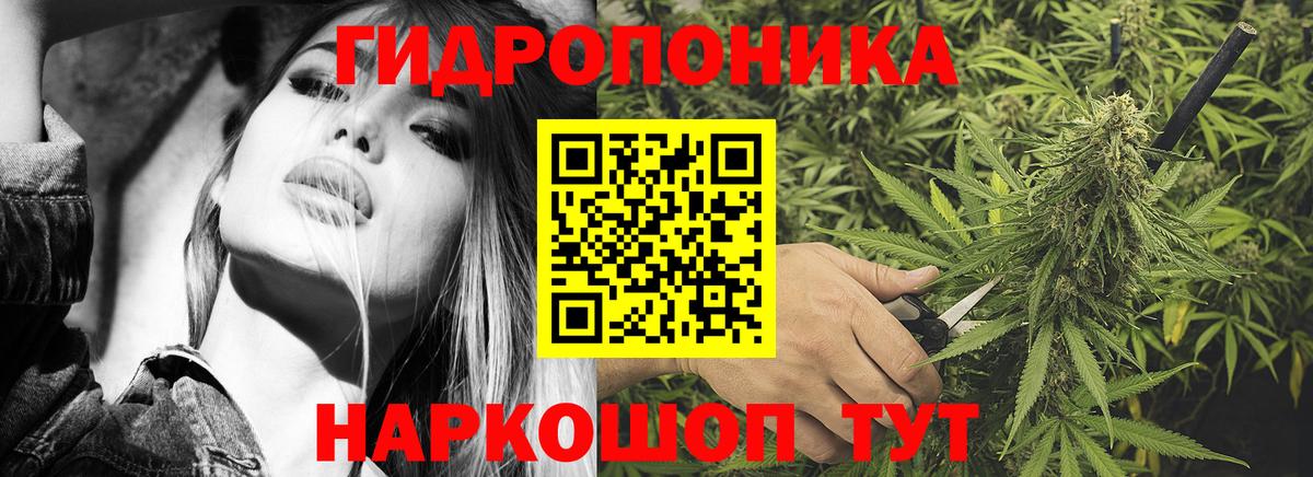 Бошки Шишки план  Вход с VPN  Семилуки  Конопля тримм  Бошки марихуана Ganja 